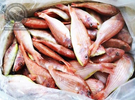 Japanese Threadfin Bream