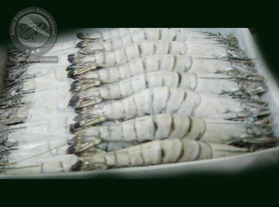 SHRIMPS
