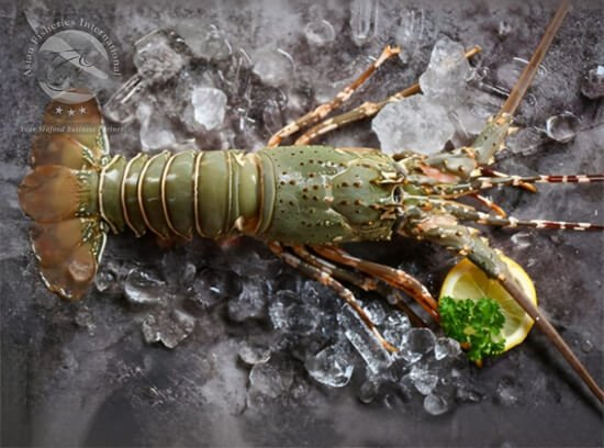 Green Lobster